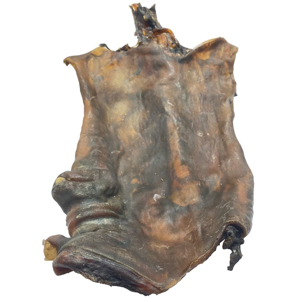 Pferde-Kopfhautplatte Pferde-Hautplatten