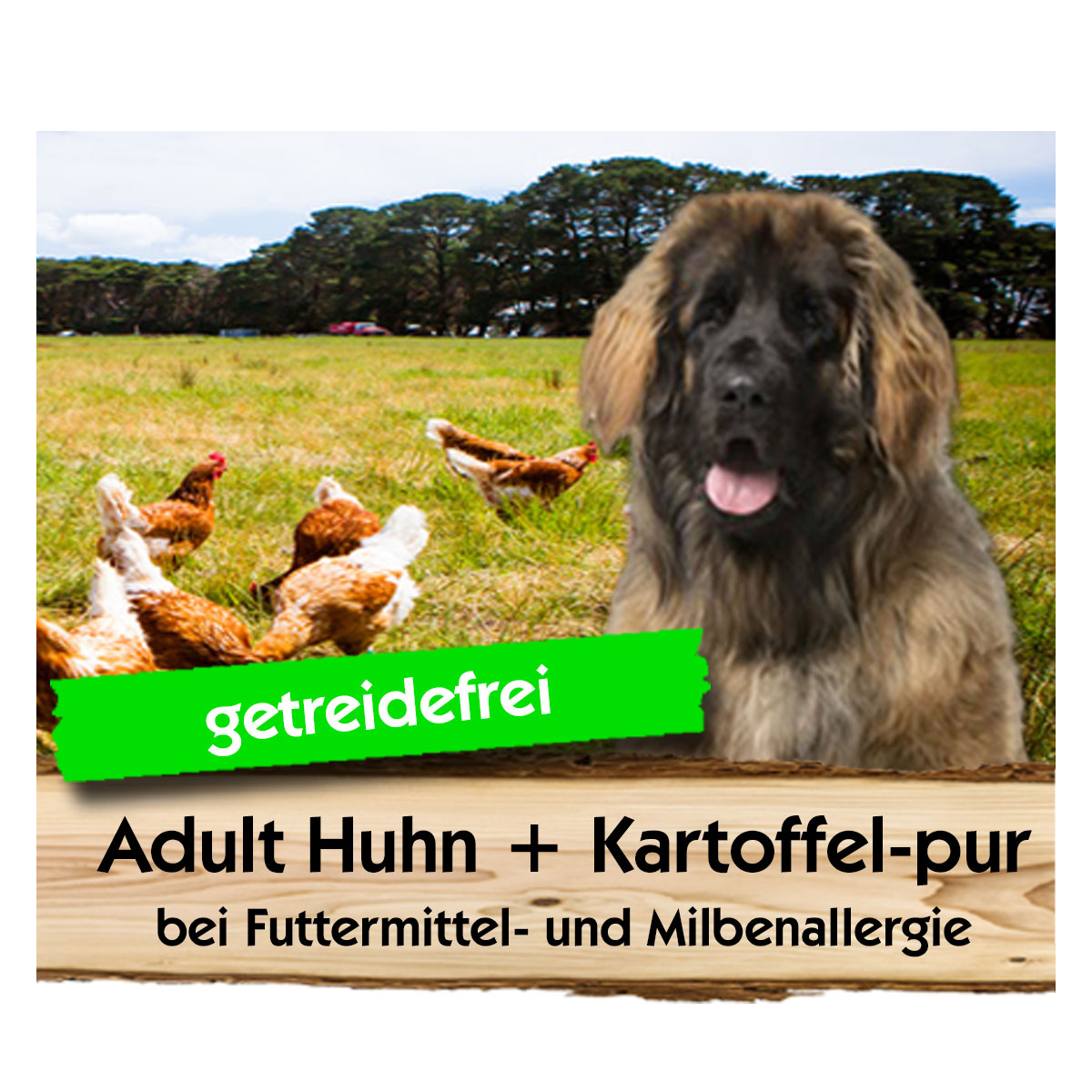 Adult-Huhn-Kartoffel-pur-Max-Hamster ADULT Huhn + Kartoffel-pur