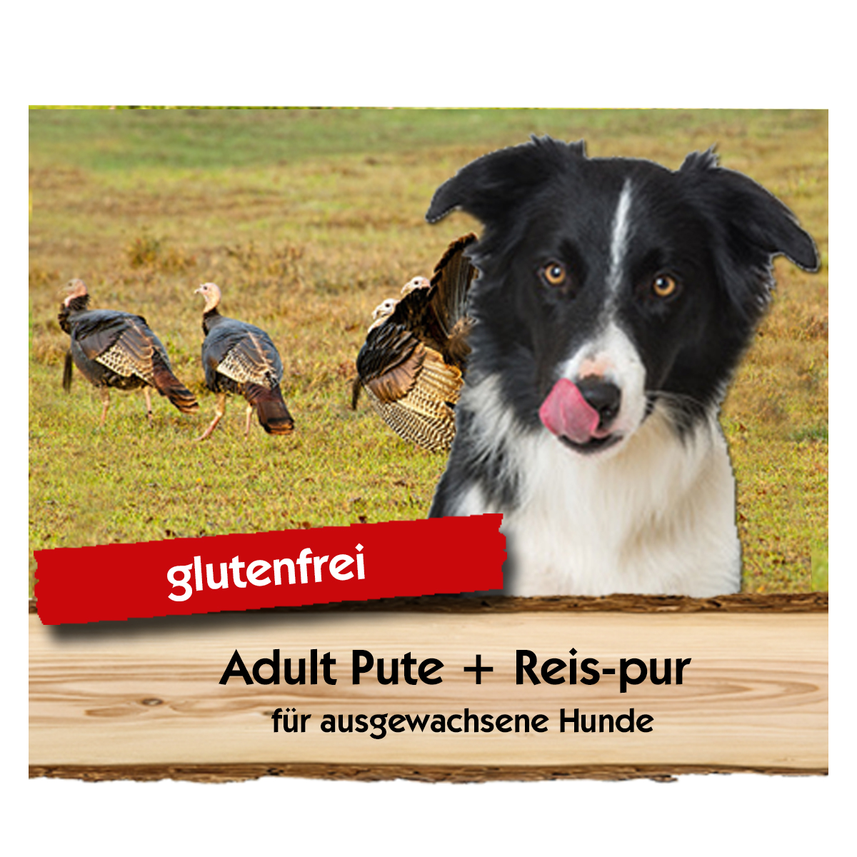 Adult-Pute-Reis-pur-Max-Hamster Adult Pute + Reis-pur