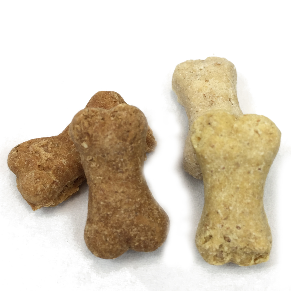 Mini-Knochen-Maxies-2