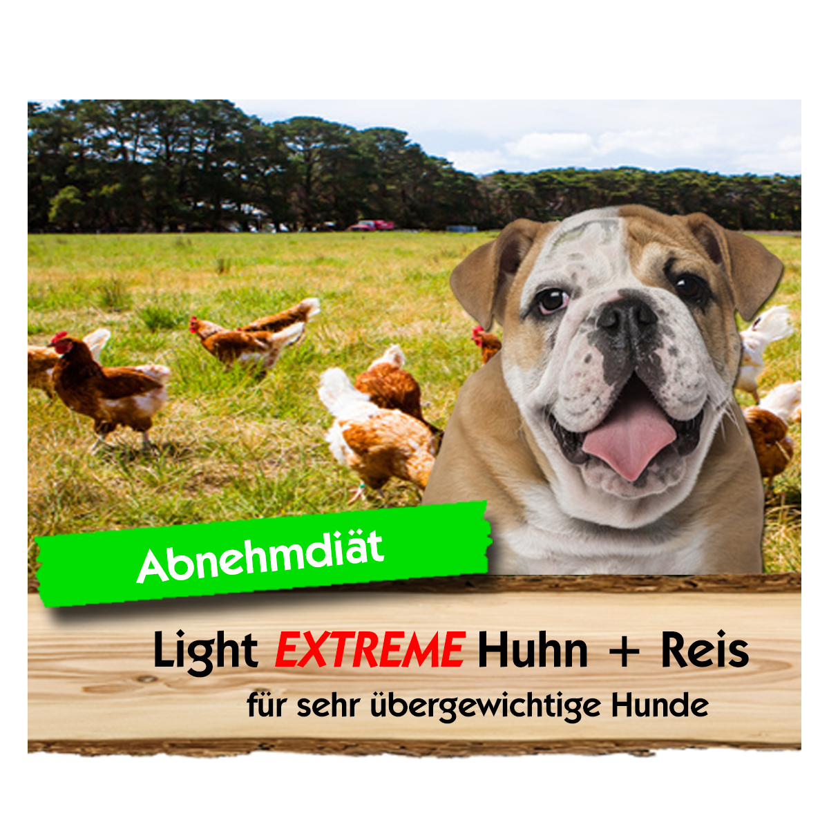Light-Extreme-Huhn-Reis-Max-Hamster Light EXTREME Huhn + Reis