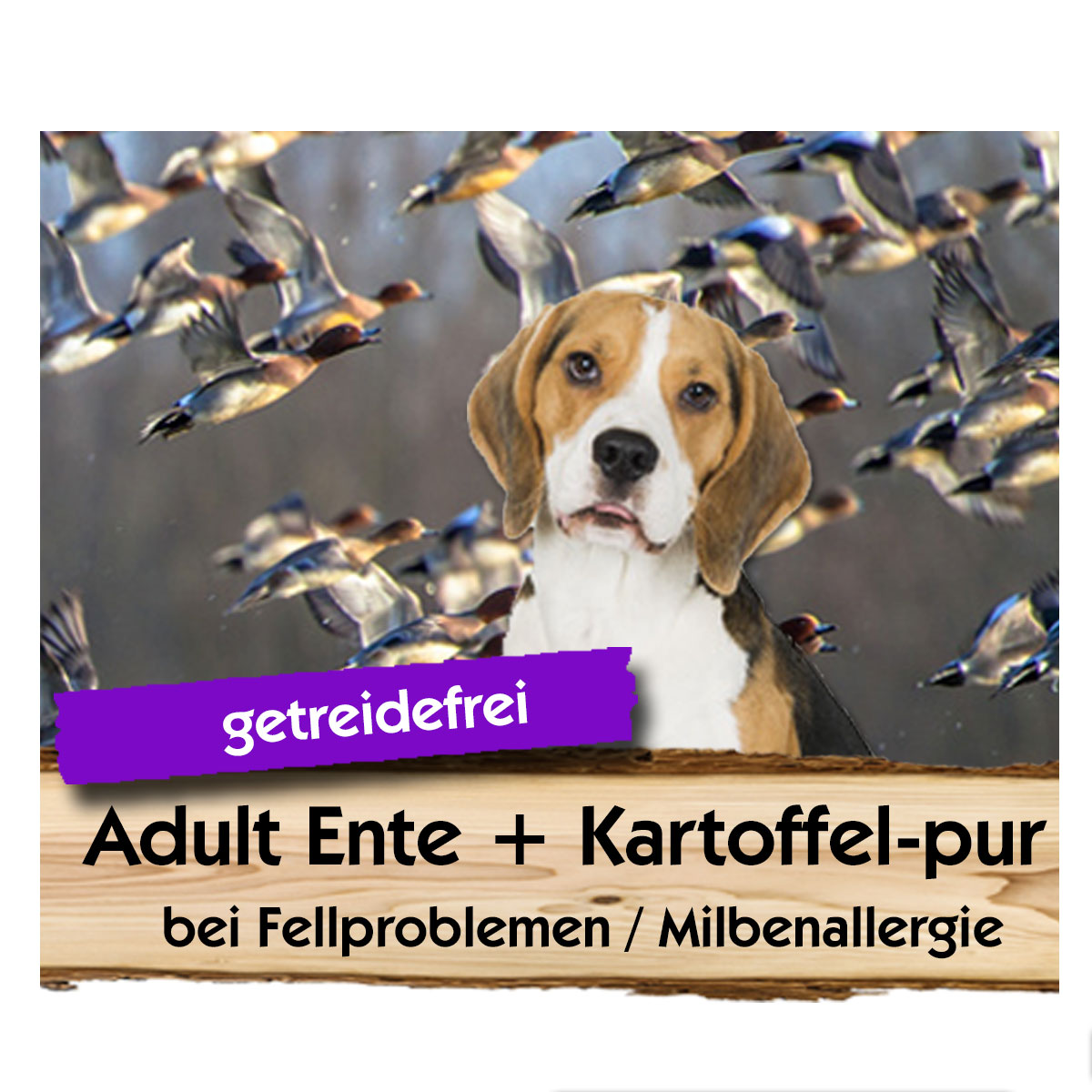 Adult-Ente-Kartoffel-pur-Max-Hamster ADULT Ente + Kartoffel-pur