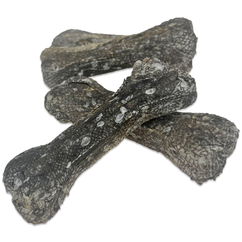 Dorsch-Hautknochen 12cm 