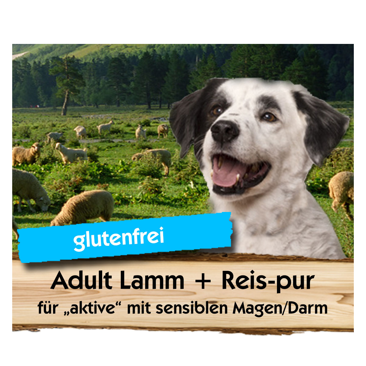 Adult-Lamm-Reis-Max-Hamster