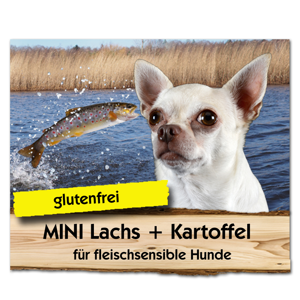 Adult-Lachs-KartoffelQ