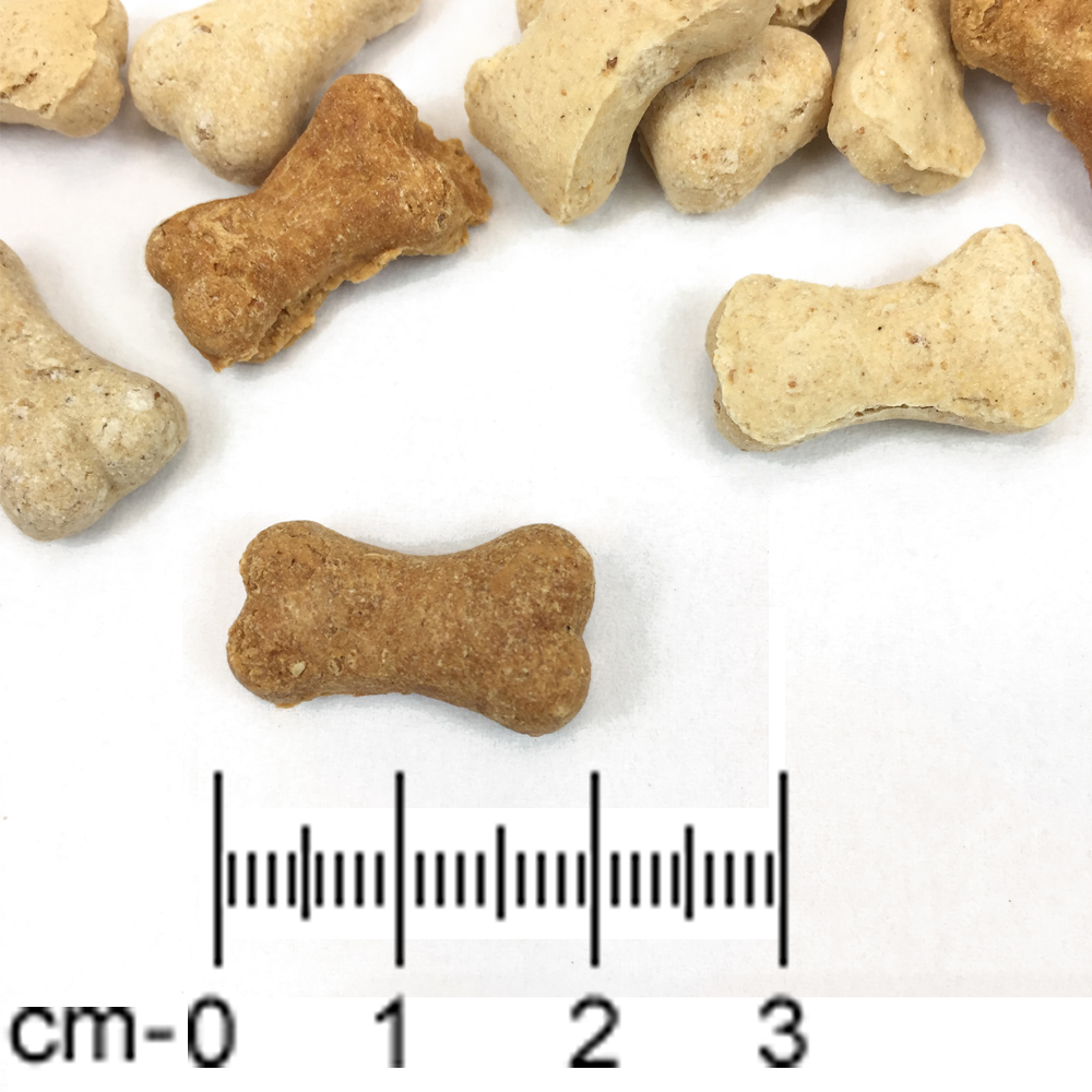 Mini-Knochen-Maxies-3