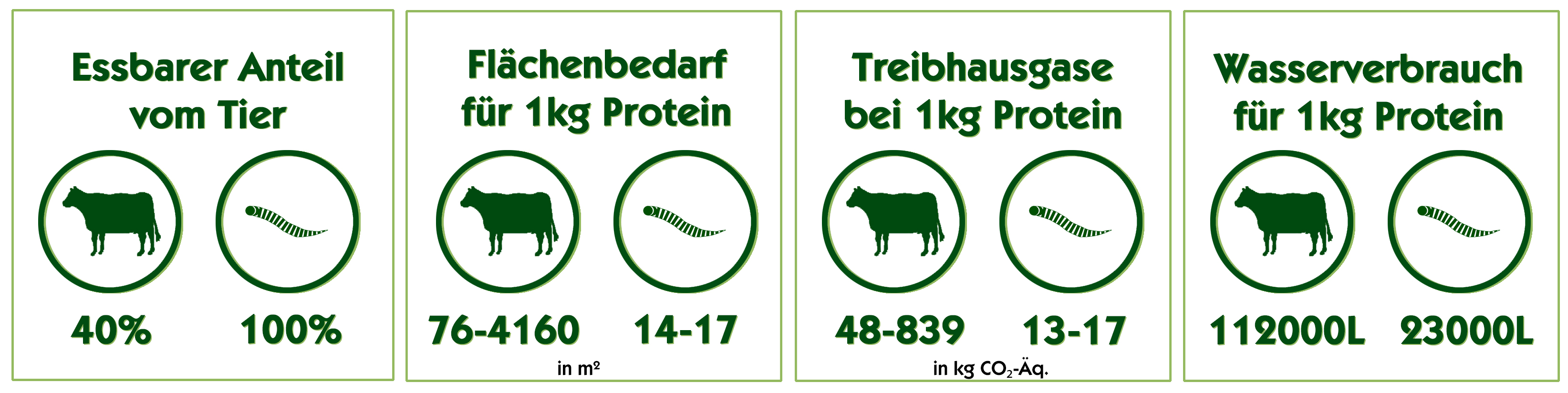 vorteile-insekten-gruen