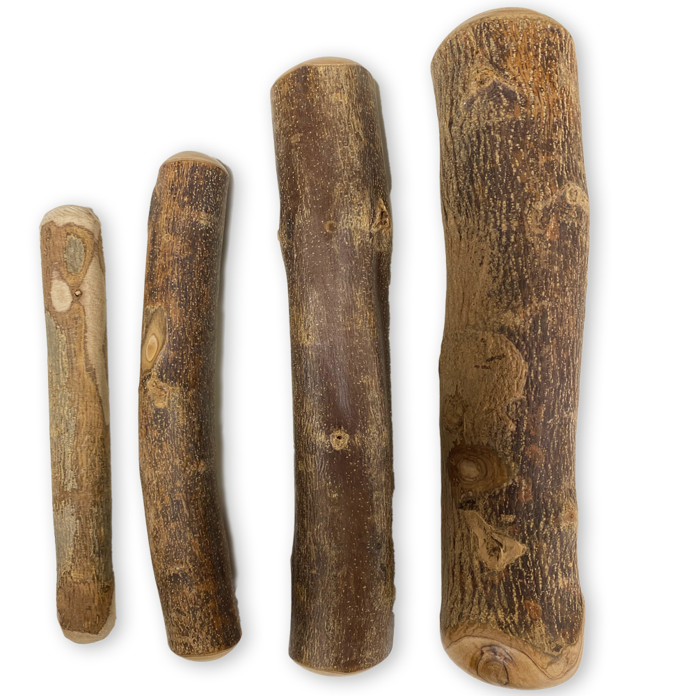 Olivenbaum-Knochen-Hund Olivenbaumknochen