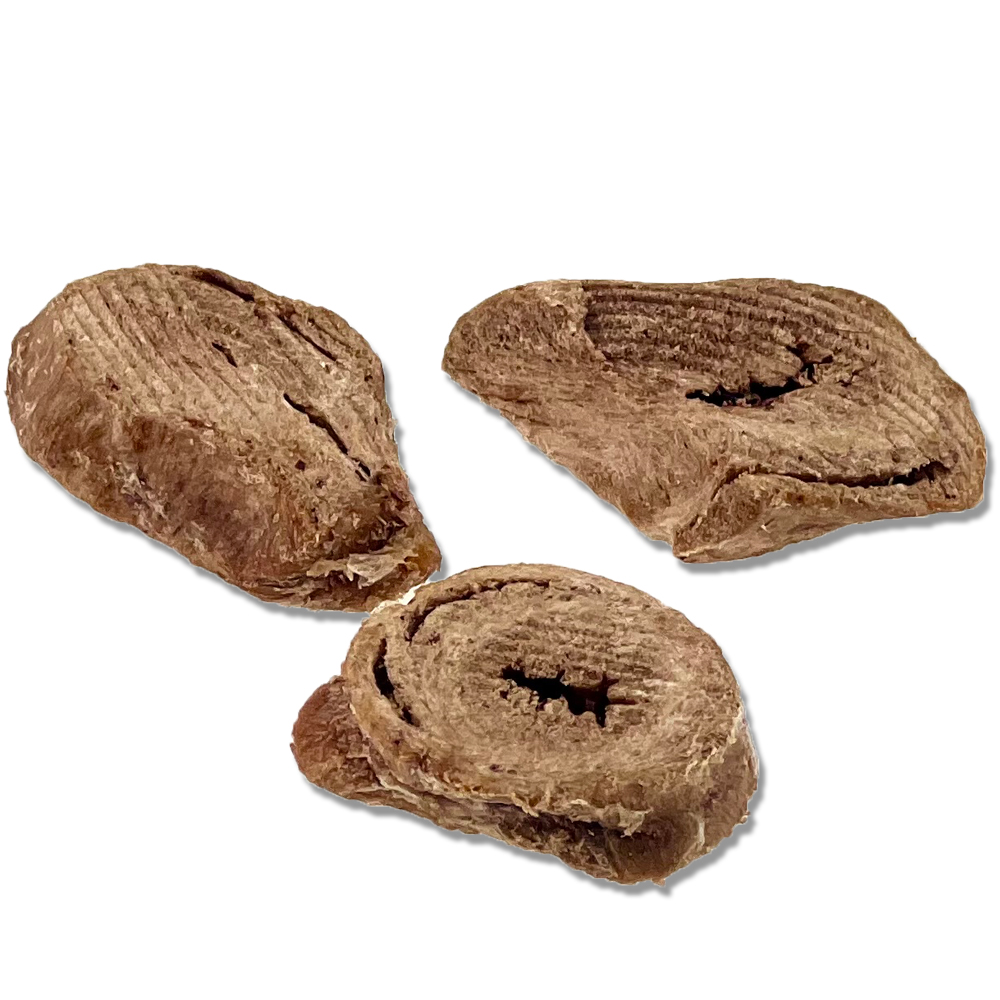 2-Photoshop2HzmQGI7kp1bV