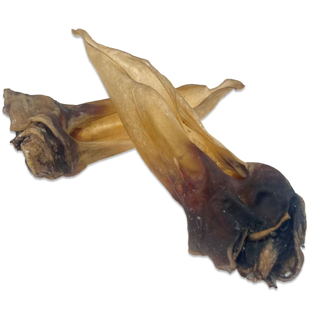Hirsch-Ohren mit Muschel