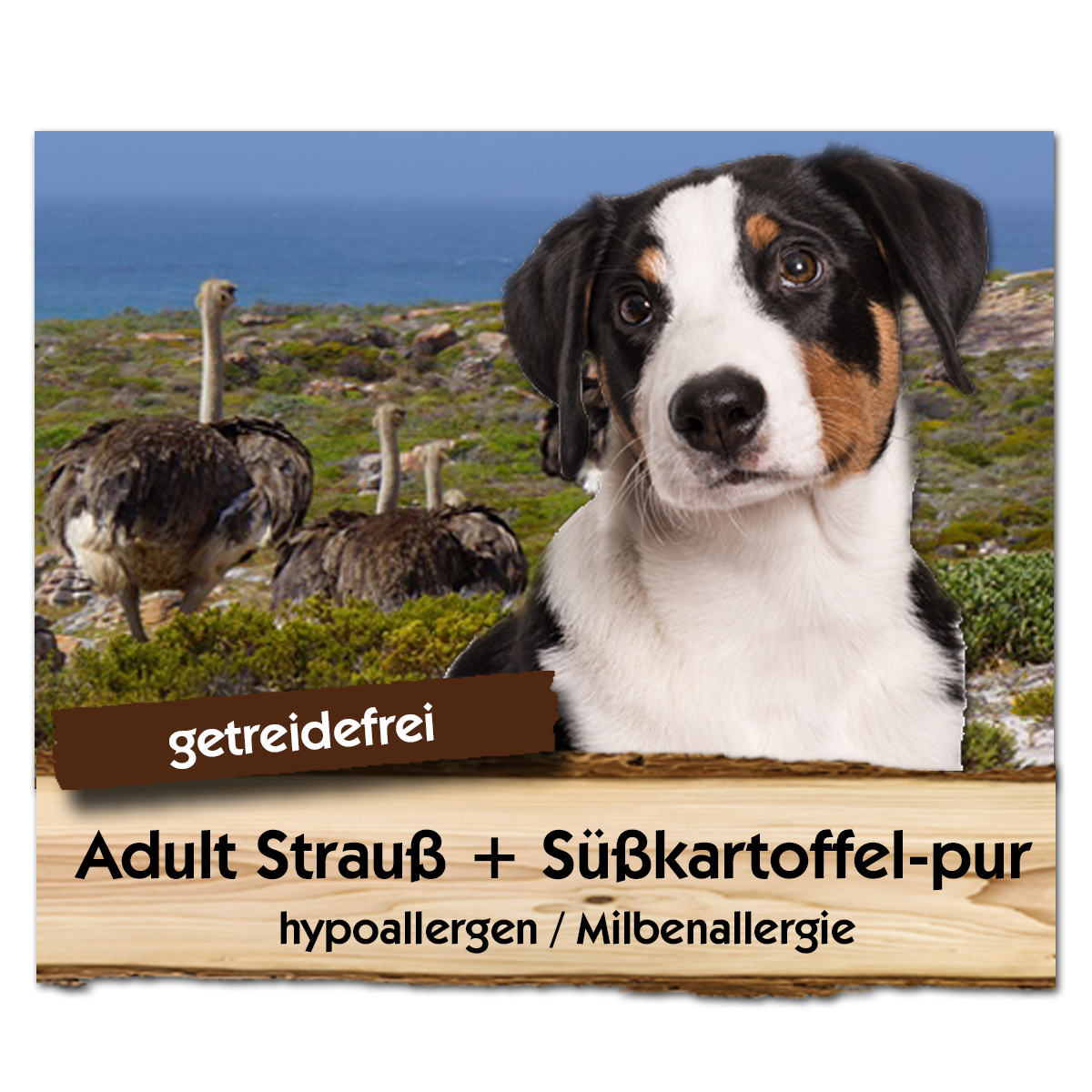 ADULT Strauß + Süßkartoffel-pur ADULT Strauß + Süßkartoffel-pur