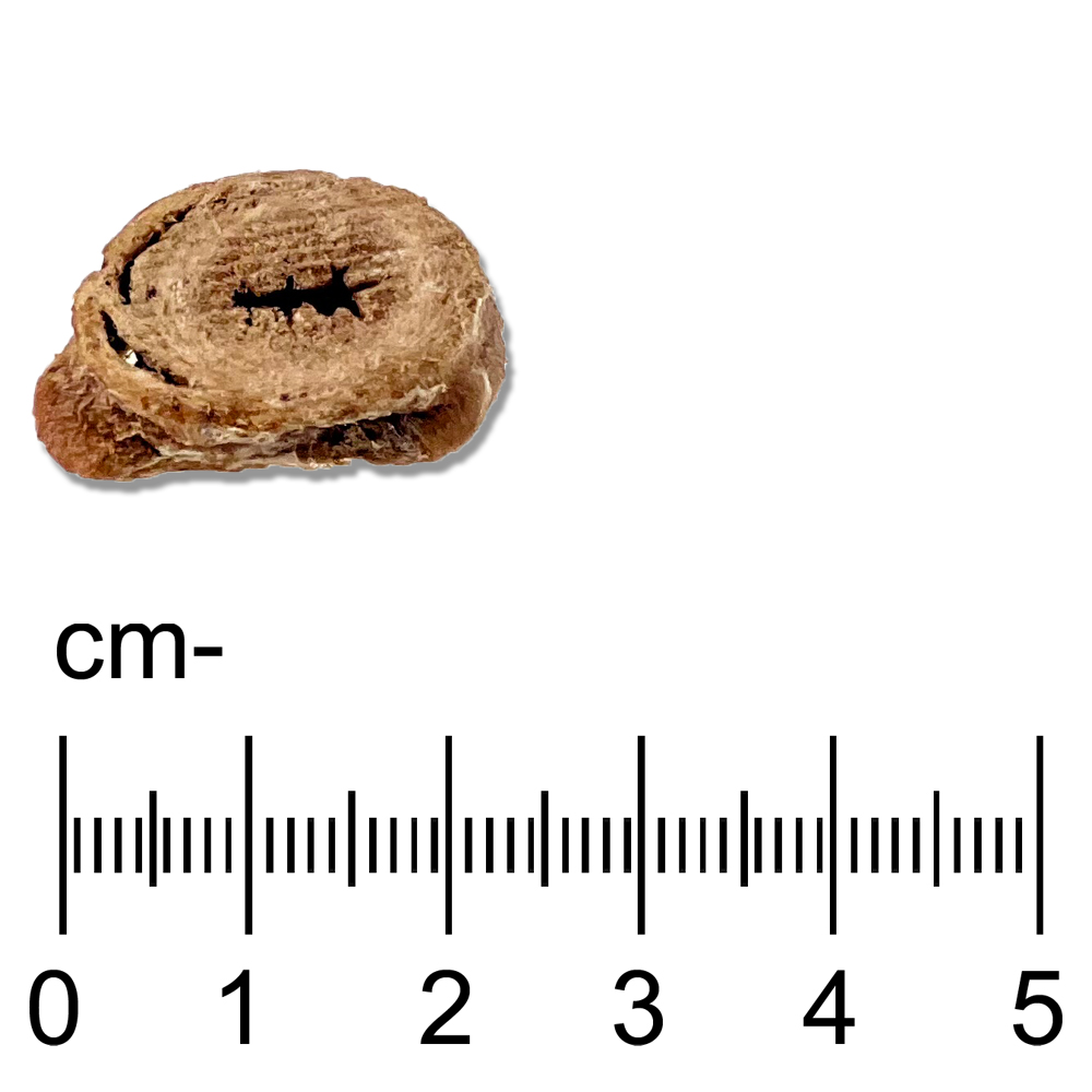 3-Photoshopf5LJ2lkUyMiym