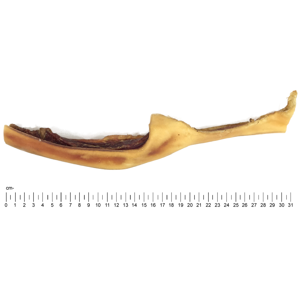 Rinder-Kopfhaut-30cm-3
