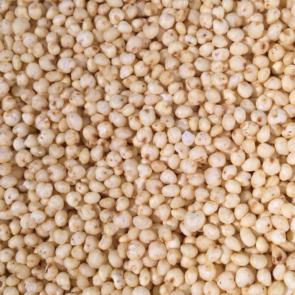 Hirse_aufgeschlossen Hirsekörner aufgeschlossen 300g von MAX-HAMSTER | Max Hamster