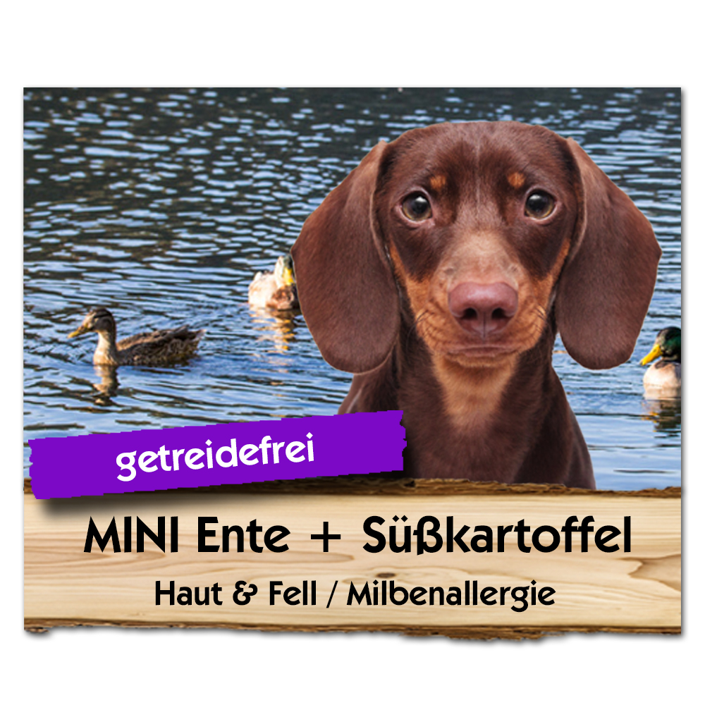 Mini-Ente-SusskartoffelQ