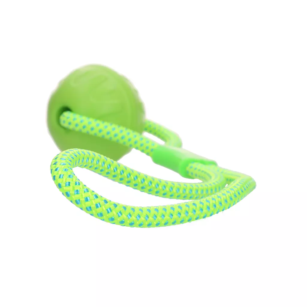 Dog Comets Vortex Loop grün