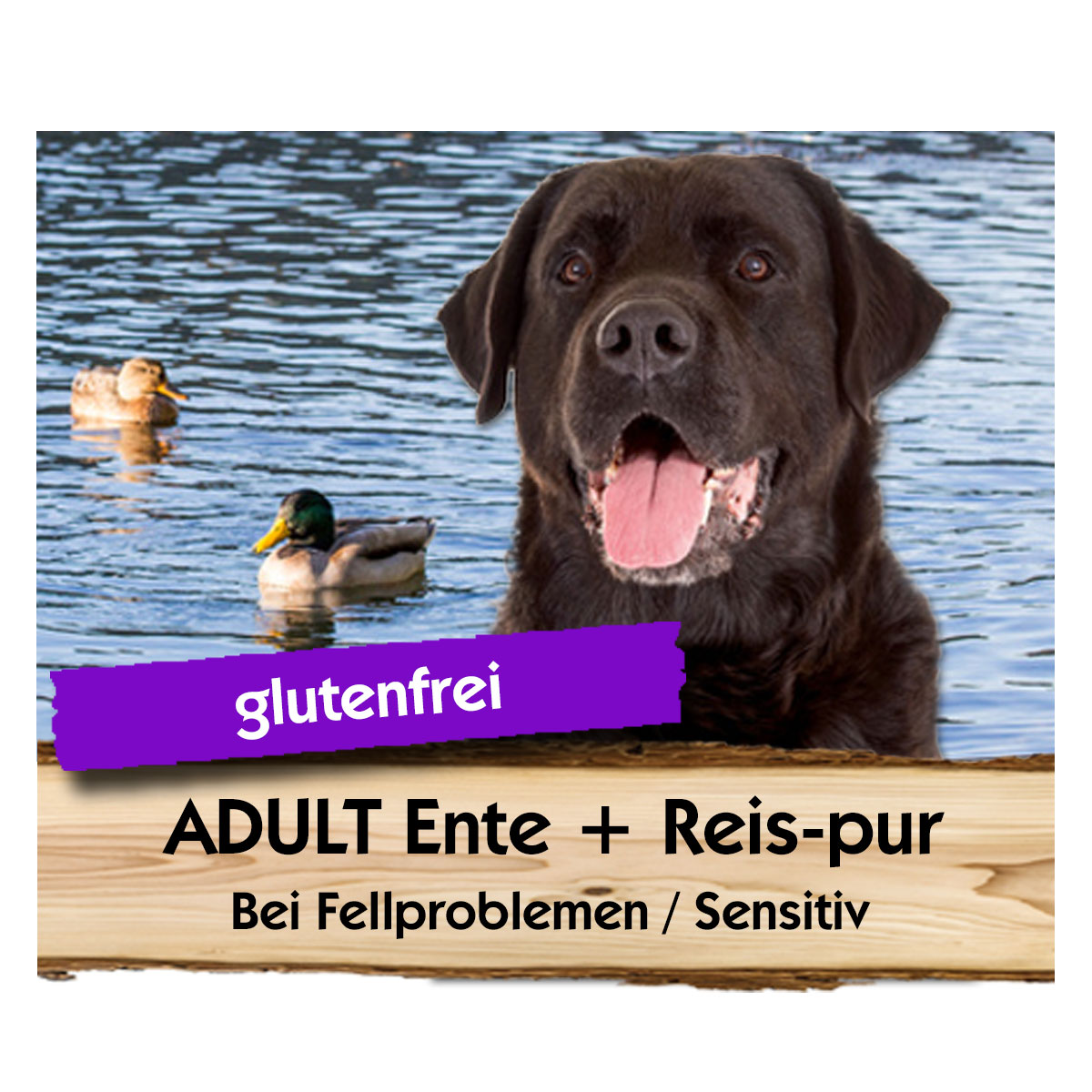 Adult-Ente-Reis-Max-Hamster ADULT Ente + Reis-pur