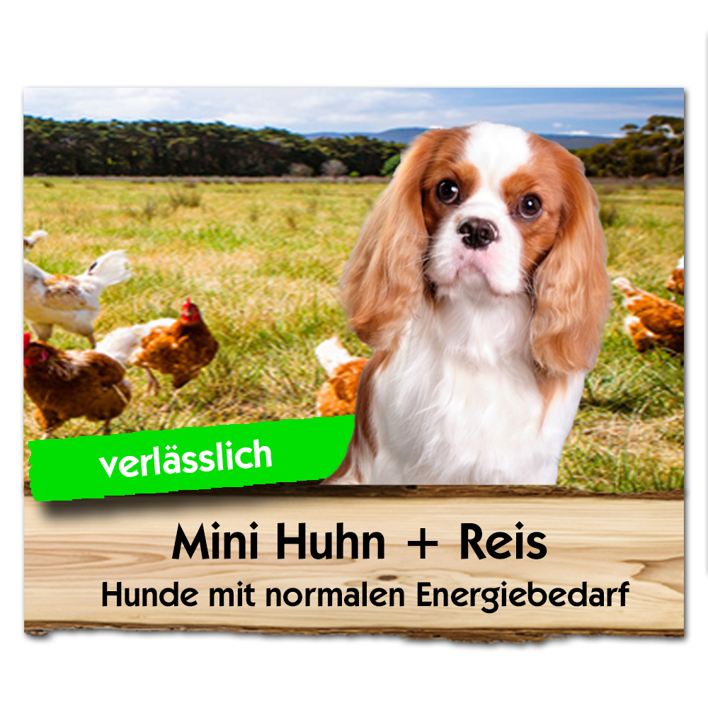 Mini-Huhn-ReisQ