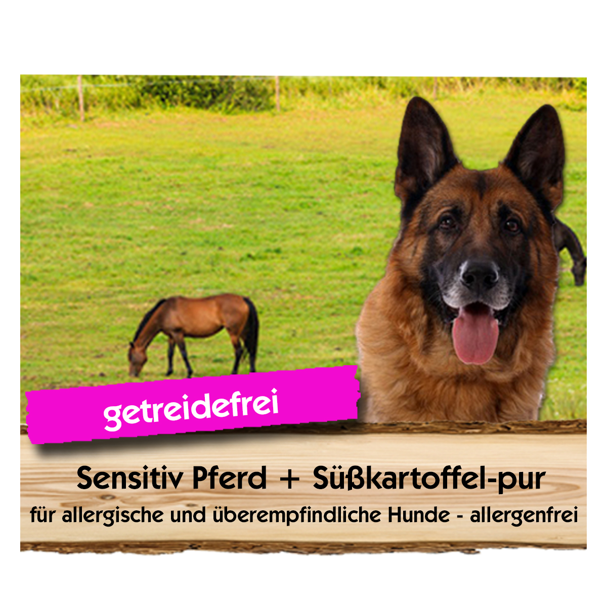 Sensitiv-Pferd-uesskartoffel-pur-Max-Hamster Sensitiv Pferd + Süßkartoffel-pur