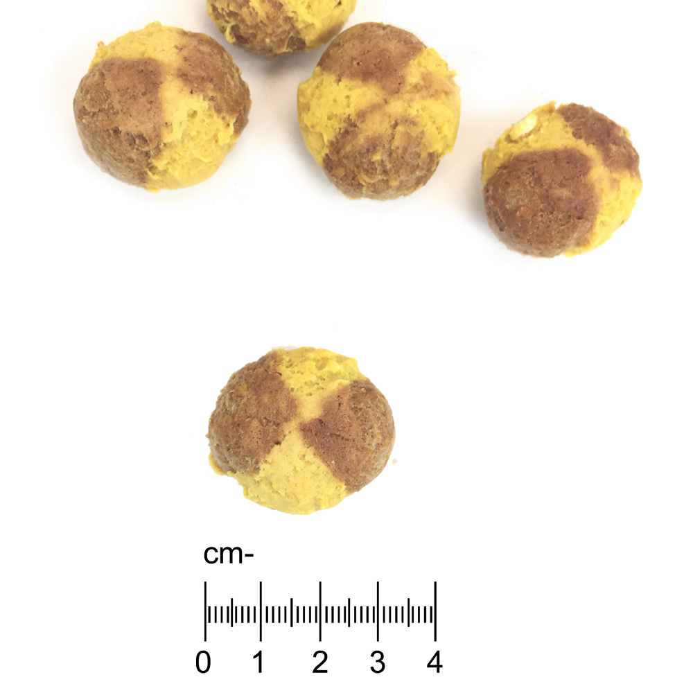 Pute-Aprikosen-Backies-3