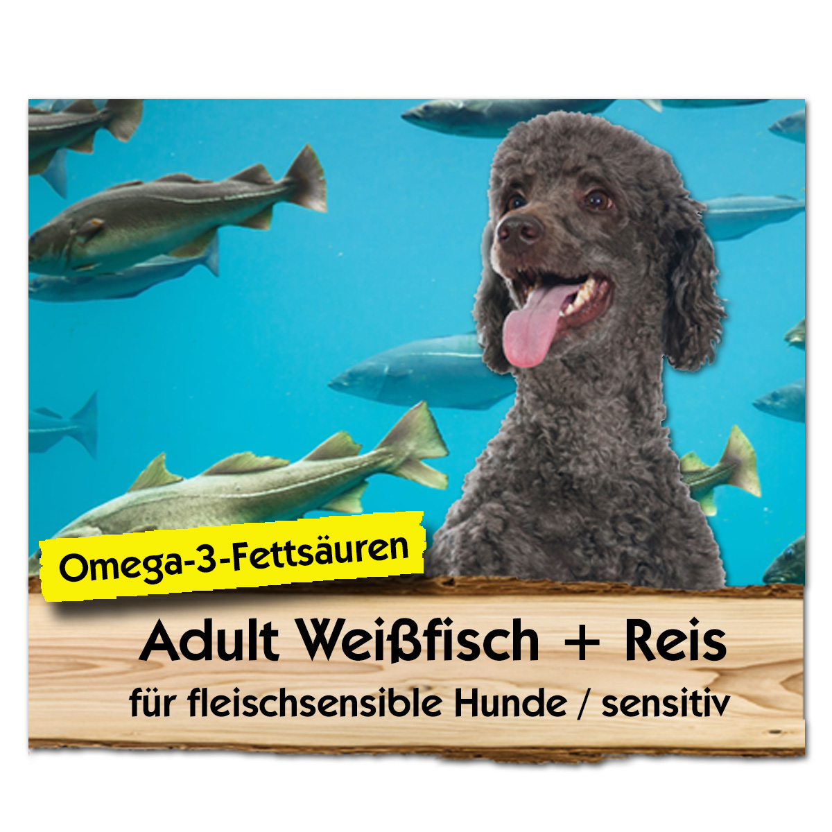 Adult Weißfisch + Reis