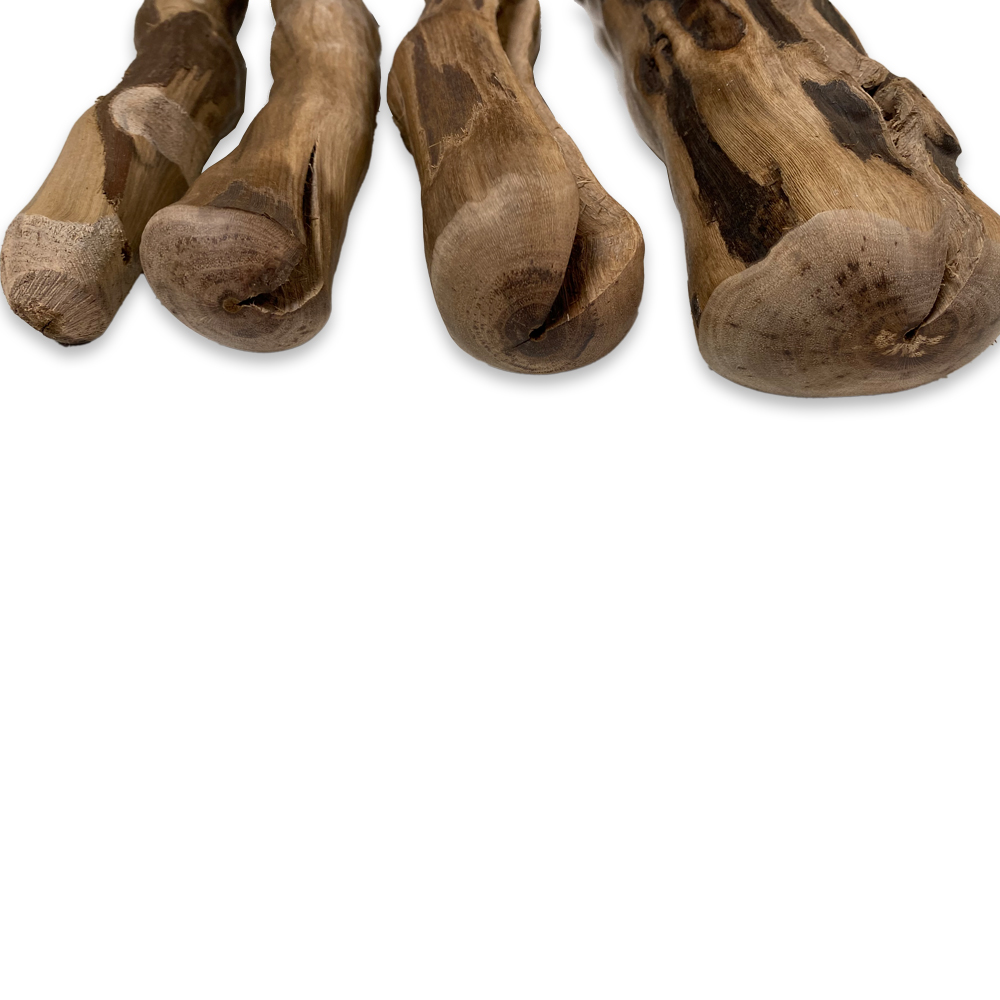 Weinreben-Kauknochen-Hund