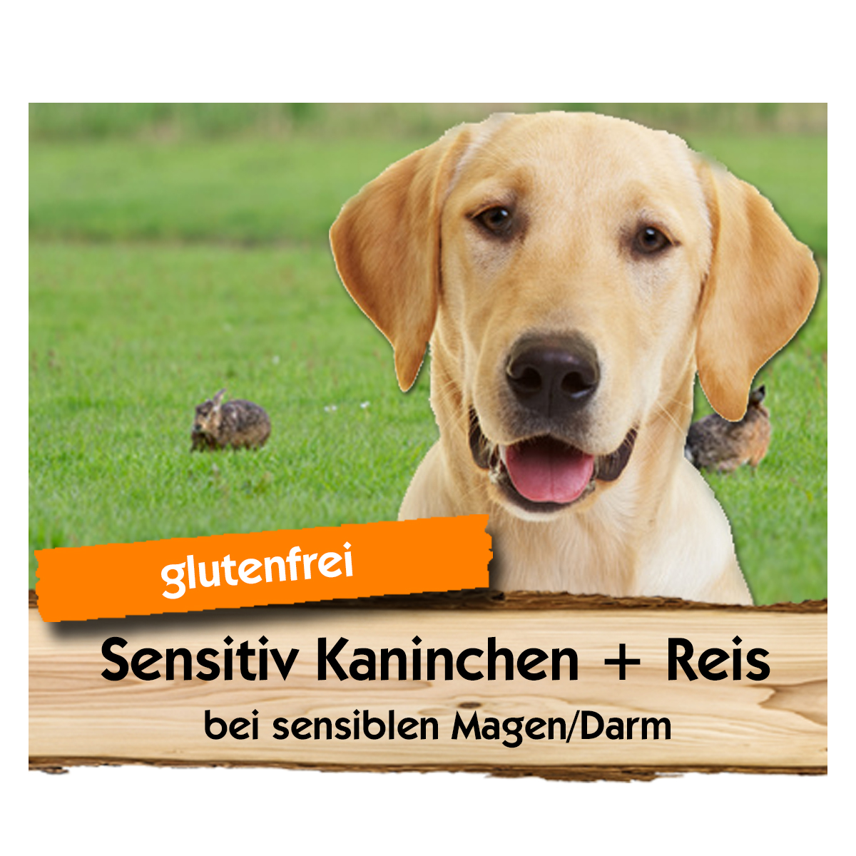 Sensitiv-Kaninchen-Reis-Max-Hamster