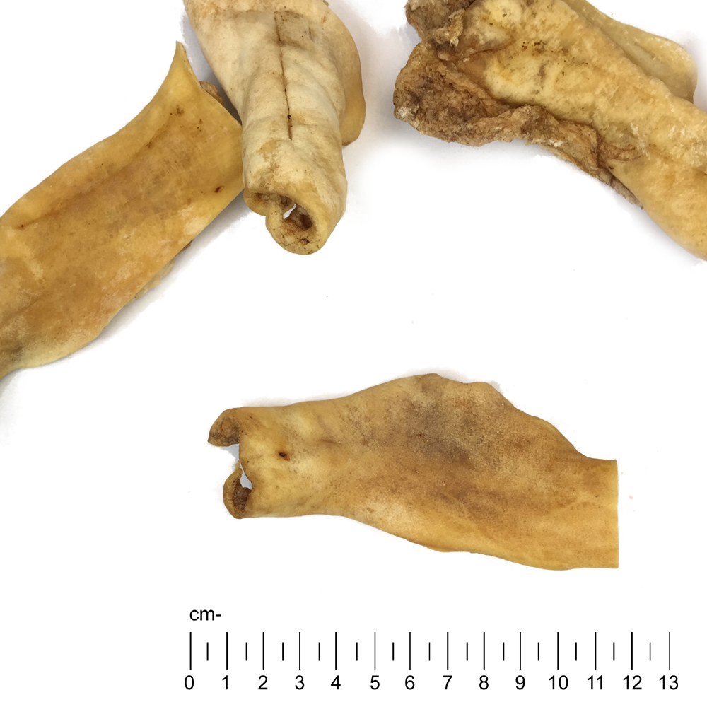 Pferde-Hautstreifen-3