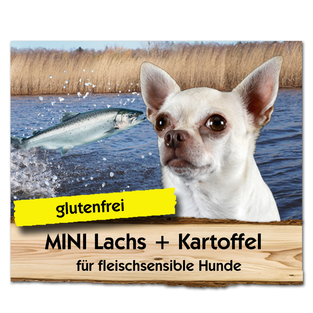 Mini Lachs + Kartoffel