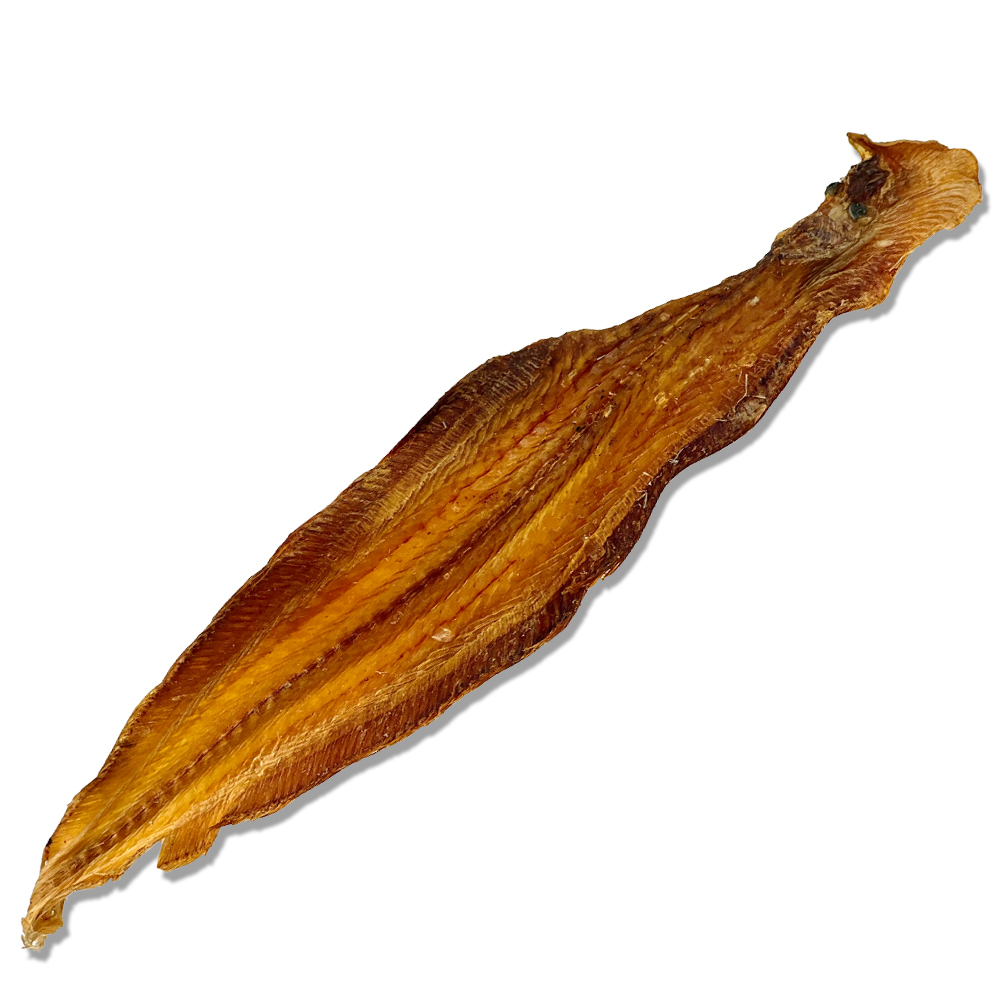 2-PhotoshopvyAMXf6zaiqLw