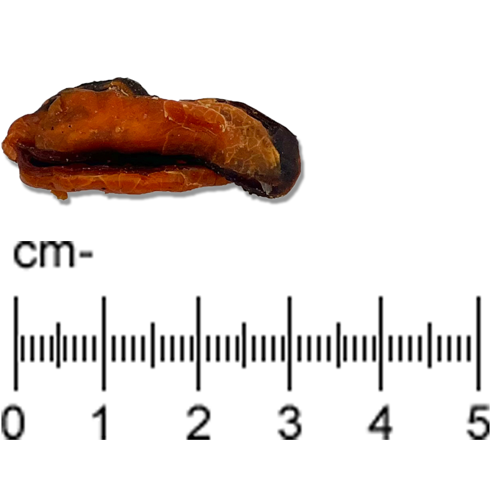 3-Photoshop3uISwXl4a9xmS