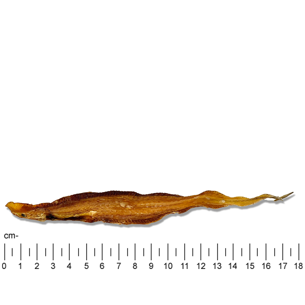 3-PhotoshopblpNCrlVFeia0