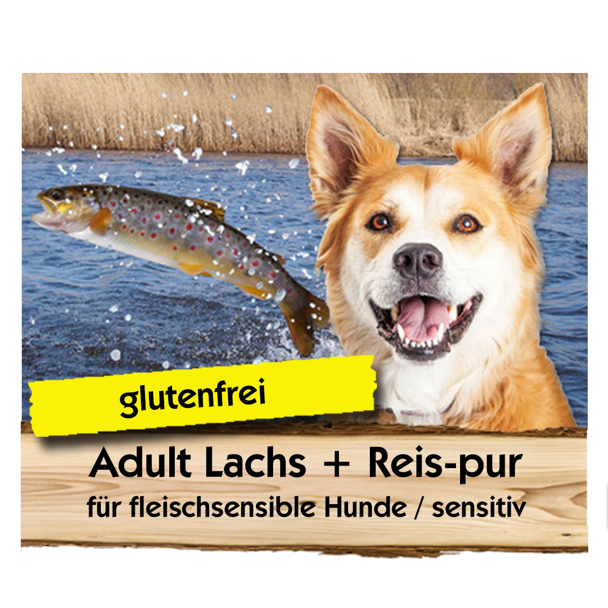 Adult-Lachs-Reis-Max-Hamster Adult Lachs + Reis-pur