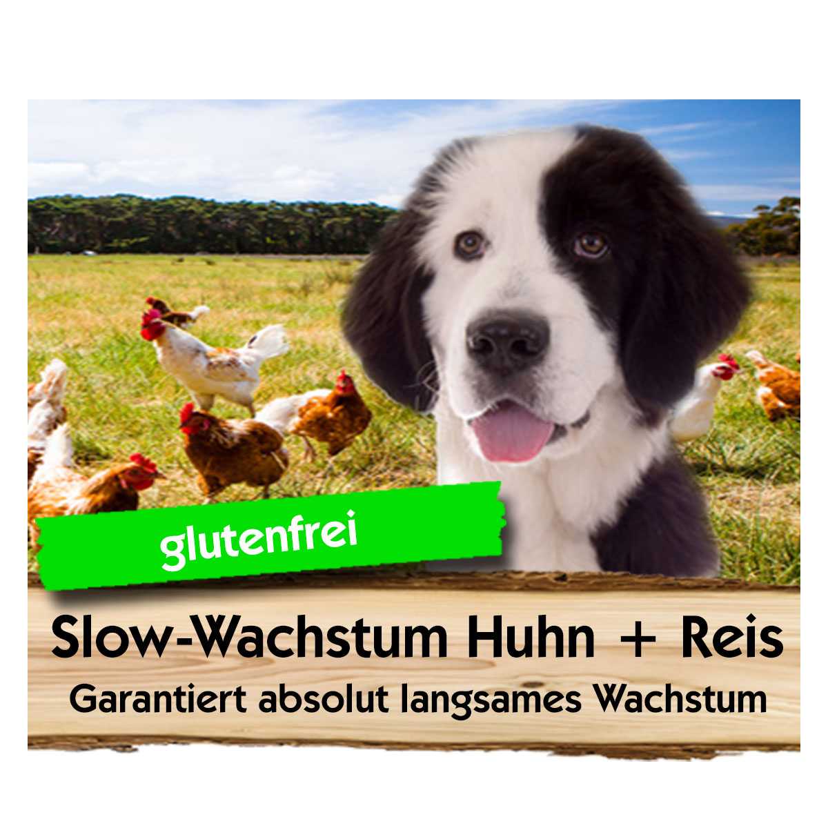 Slow-Wachstum-Huhn-Reis-Max-Hamster Slow Wachstum   Huhn + Reis