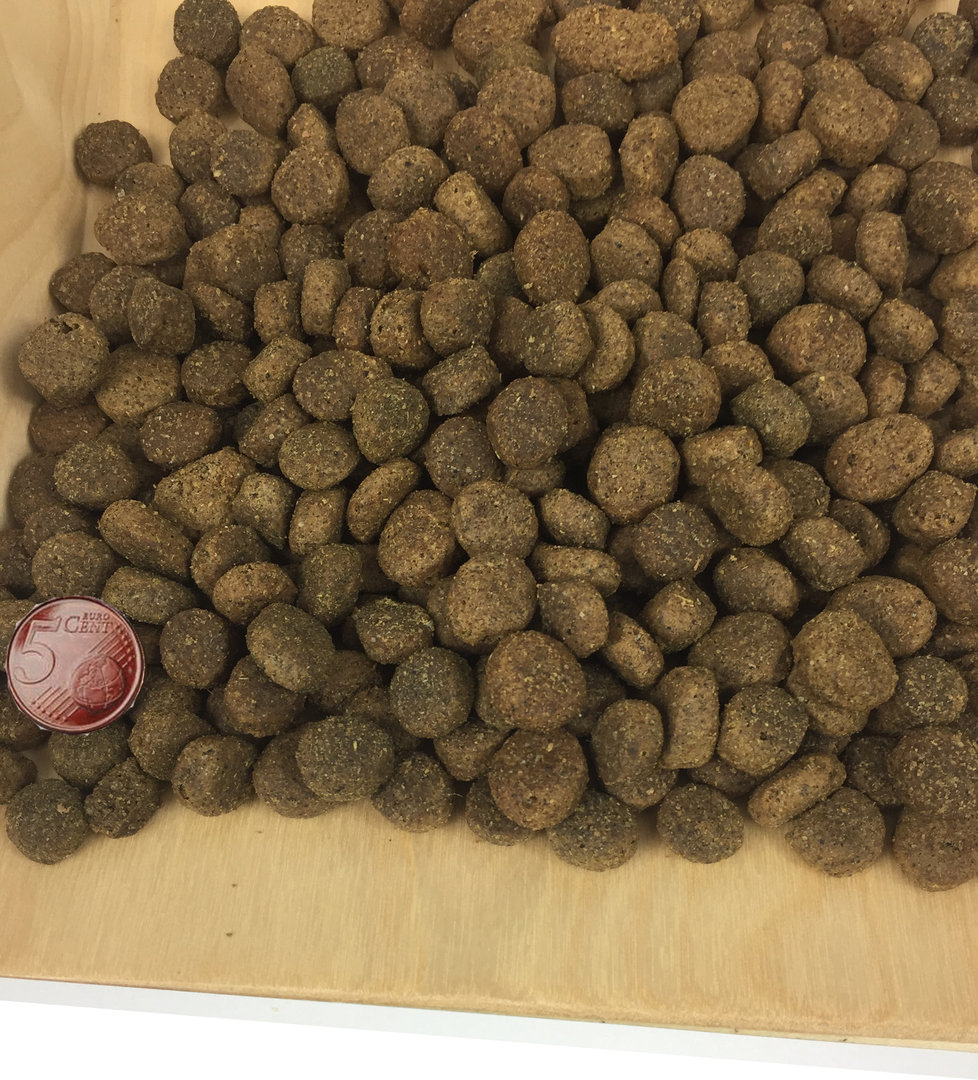 sensitiv_Pferd Pferd Süsskartoffel Max Hamster | natürlich und gesund