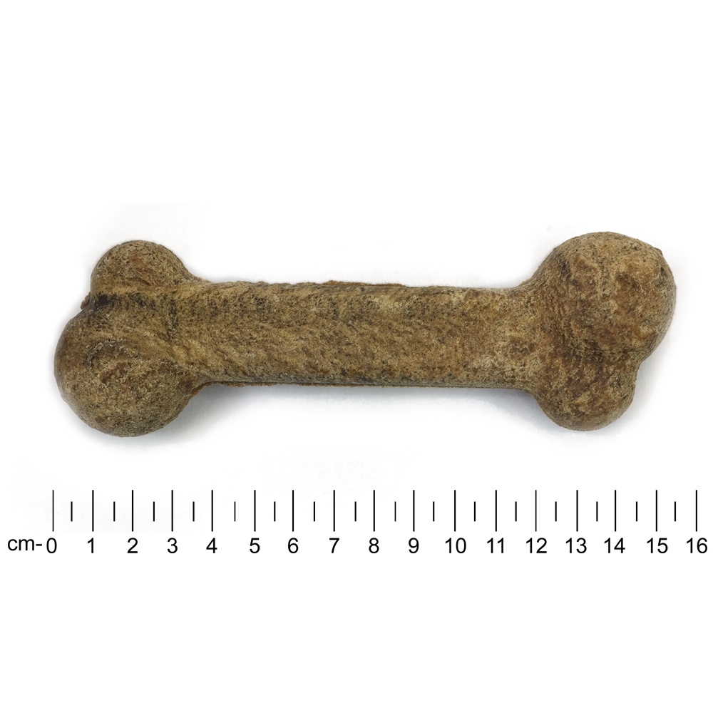 Back-Knochen-Maxi-Strauss-3