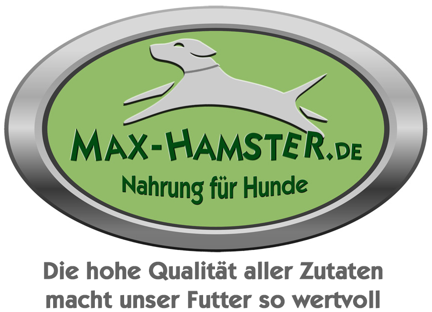 Zur Startseite gehen