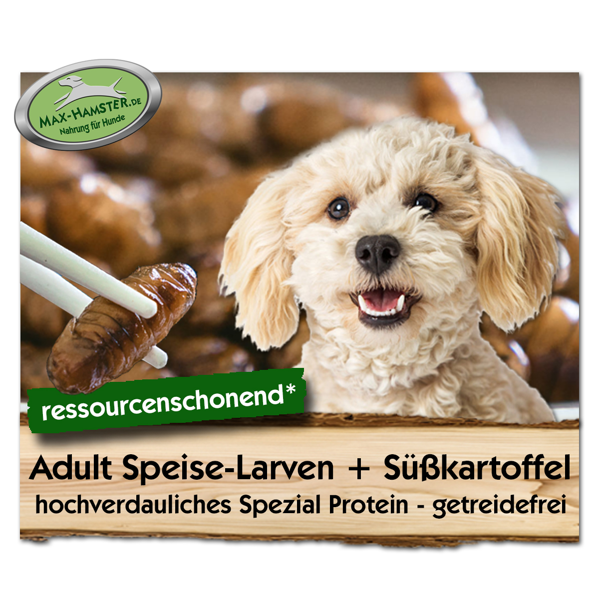 Adult Speise-Larven + Süßkartoffel