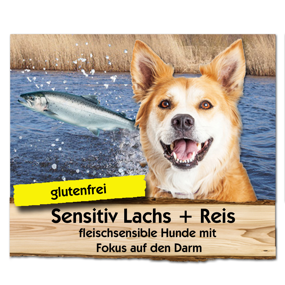Sensitiv Lachs + Reis