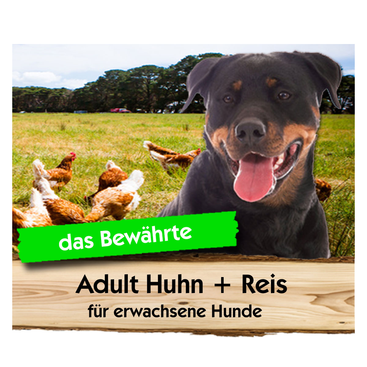 Adult  Huhn + Reis Adult  Huhn + Reis