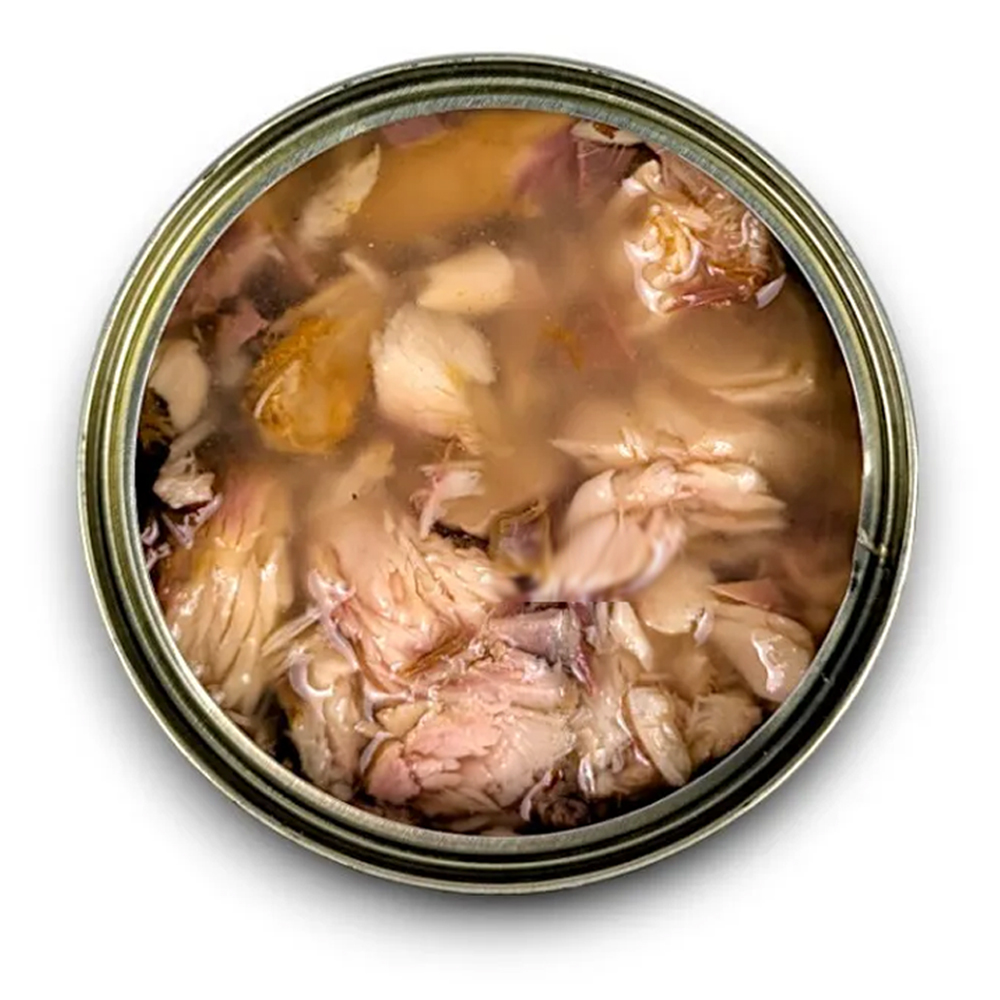 Makrele - pur schwimmend in Fischbrühe