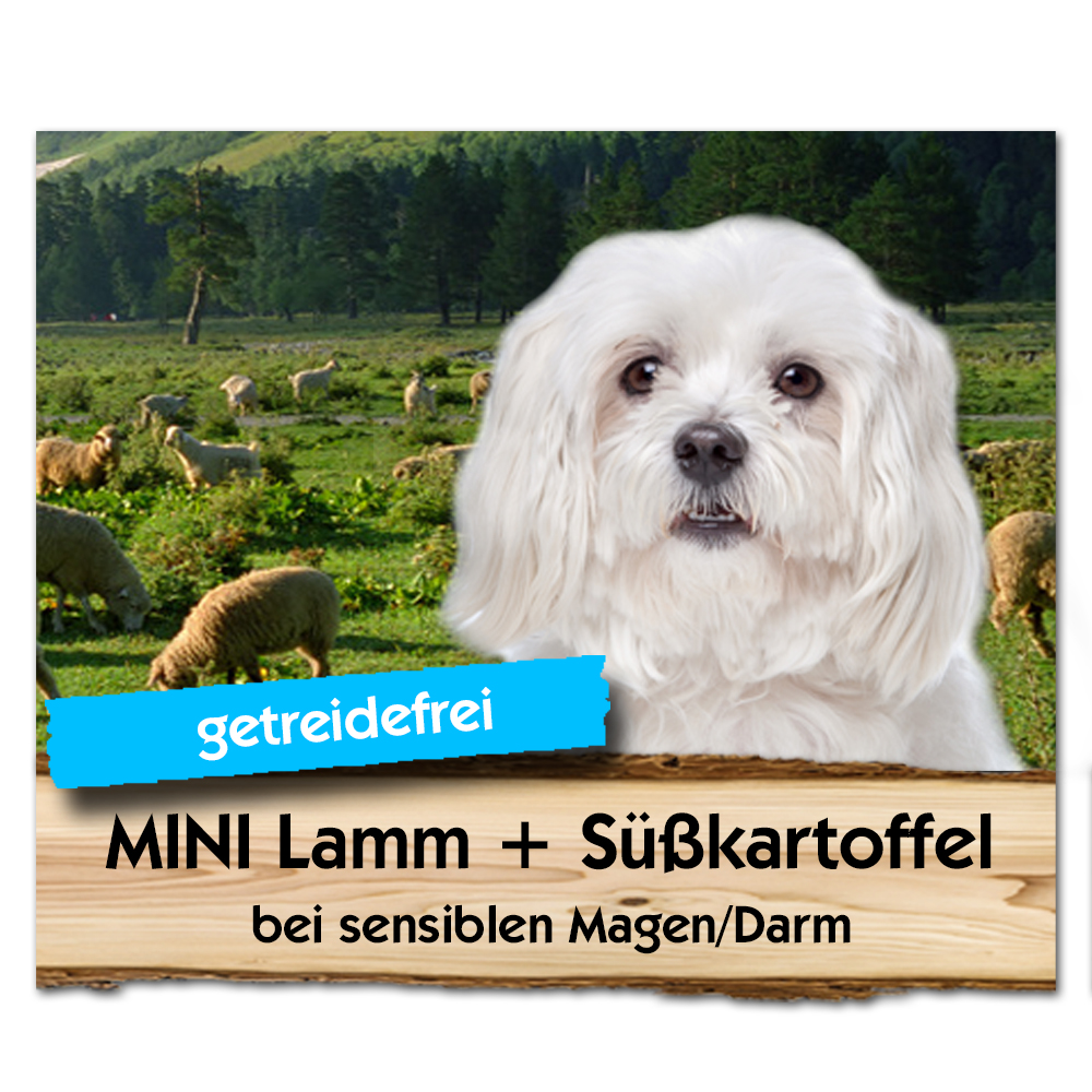 Mini-Lamm-SusskartoffelQ Mini Lamm + Süßkartoffel