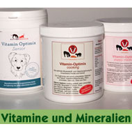 Vitamine-und-Mineralien-Hund