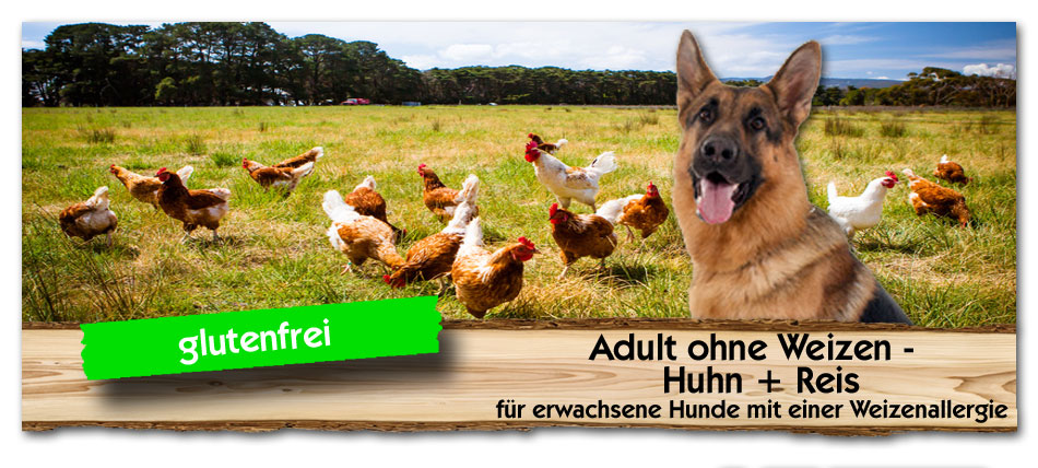 Erwachsenenfutter-Hund-Adult-ohne-Weizen-Huhn-Reis-Max-Hamster