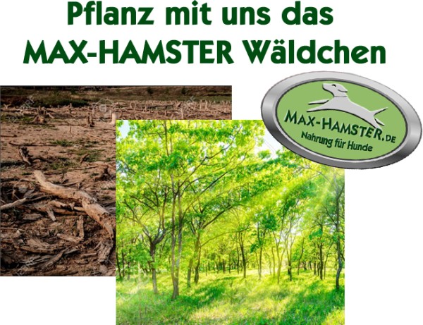 Baumpatenschaft in Deutschland