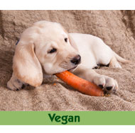 Veganes-Hundefutter