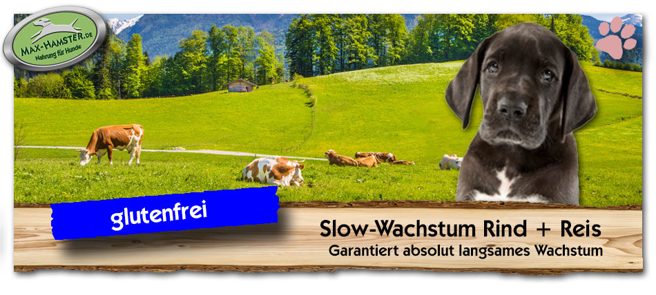 Welpenfutter-Slow-Wachstum-Rind-Reis-Max-Hamster