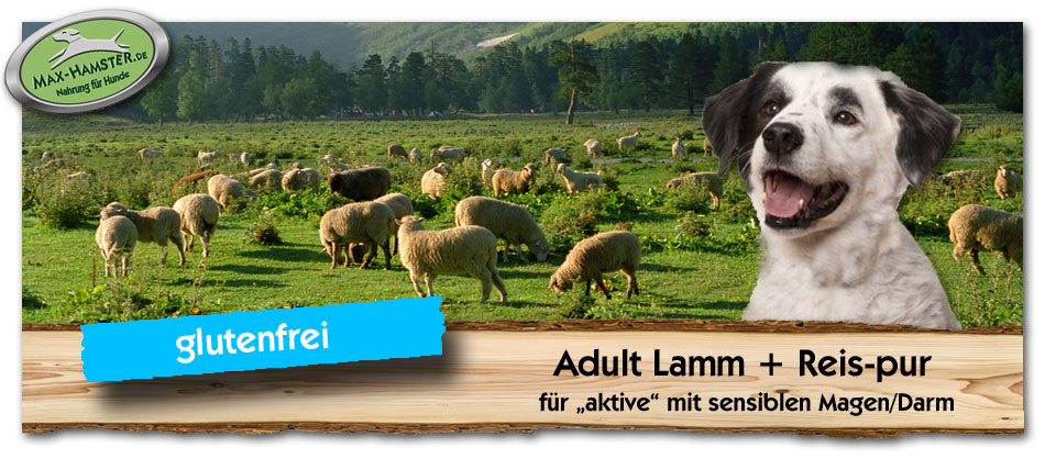 Erwachsenenfutter-Hund-Adult-Lamm-Reis-Max-Hamster