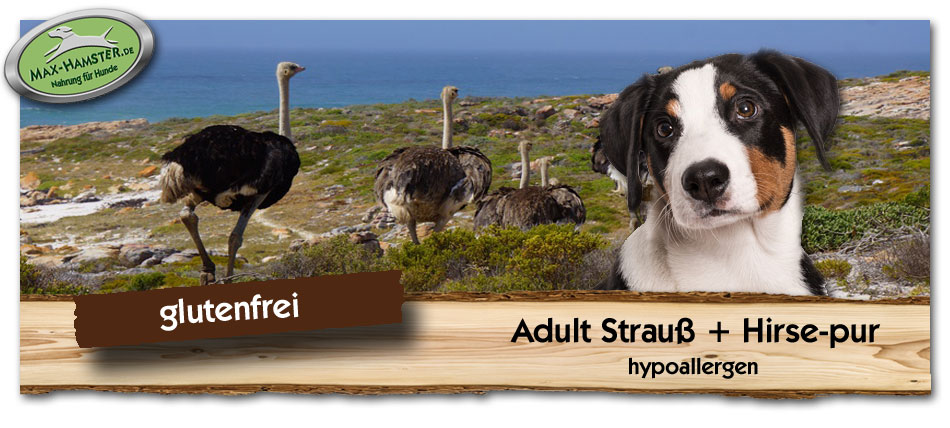 Erwachsenenfutter-Hund-Adult-Strauss-Hirse-Max-Hamster