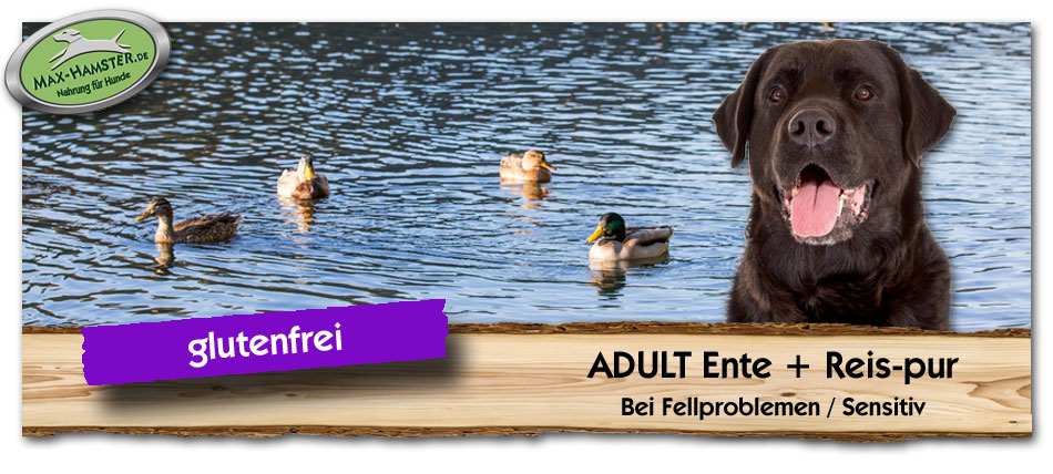Erwachsenenfutter-Hund-Adult-Ente-Reis-Max-Hamster